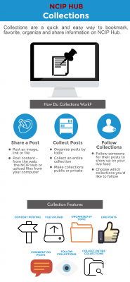Uploaded image Collections_Infographic.png