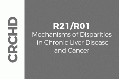 Uploaded image GMaP-Group-Collection-Label---R25-R01-liver.gif