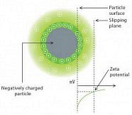 Zeta Potential Measures and Gel Electrophoresis